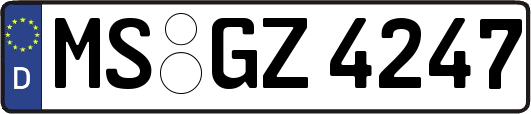 MS-GZ4247
