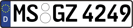 MS-GZ4249