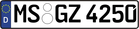 MS-GZ4250