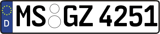 MS-GZ4251