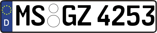 MS-GZ4253