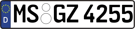 MS-GZ4255