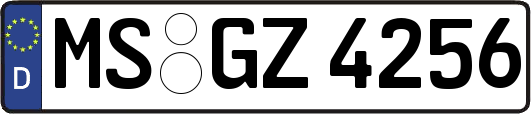 MS-GZ4256