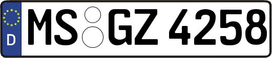 MS-GZ4258