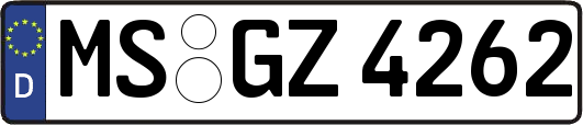 MS-GZ4262