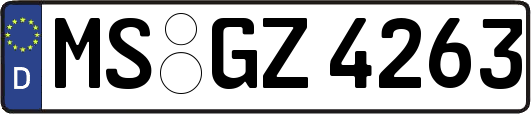 MS-GZ4263