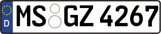 MS-GZ4267