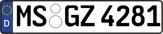 MS-GZ4281