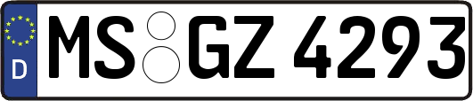 MS-GZ4293