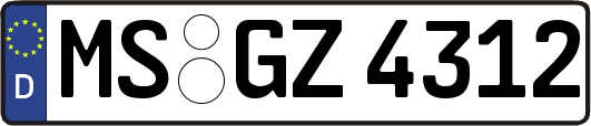 MS-GZ4312