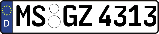 MS-GZ4313