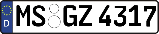 MS-GZ4317
