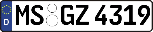 MS-GZ4319