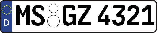 MS-GZ4321