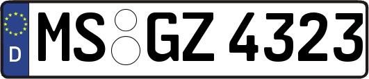 MS-GZ4323