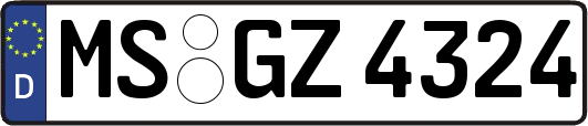 MS-GZ4324