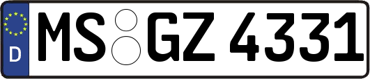 MS-GZ4331