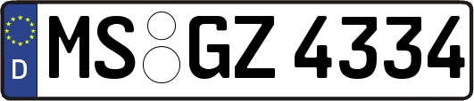 MS-GZ4334