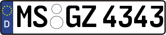 MS-GZ4343
