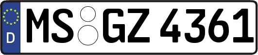 MS-GZ4361
