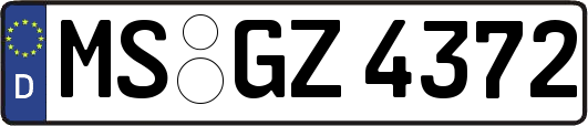 MS-GZ4372