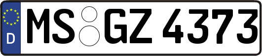MS-GZ4373
