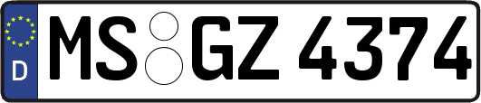 MS-GZ4374