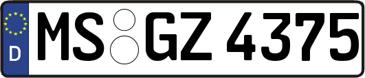 MS-GZ4375