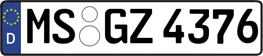MS-GZ4376
