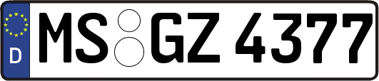 MS-GZ4377