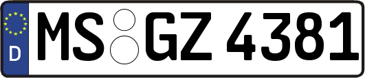 MS-GZ4381