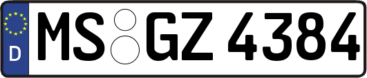 MS-GZ4384