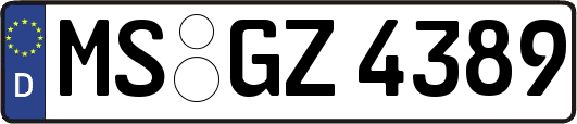 MS-GZ4389