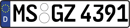 MS-GZ4391