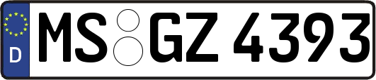 MS-GZ4393