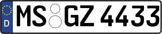 MS-GZ4433