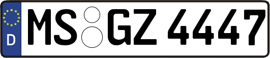 MS-GZ4447