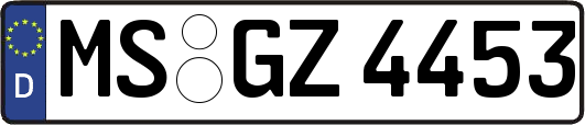 MS-GZ4453