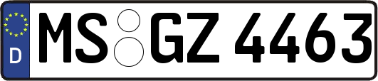 MS-GZ4463