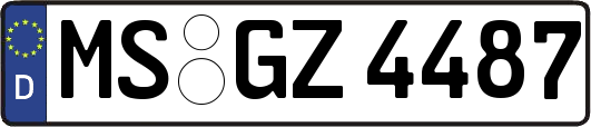MS-GZ4487
