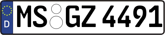 MS-GZ4491