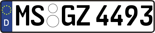 MS-GZ4493