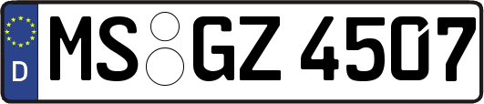 MS-GZ4507