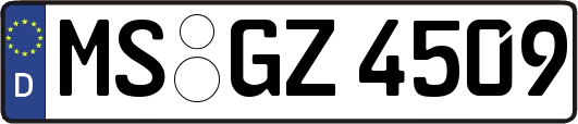 MS-GZ4509