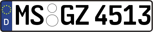 MS-GZ4513