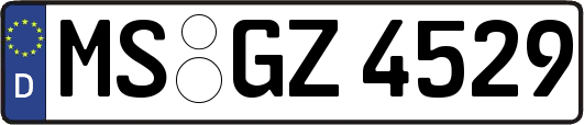 MS-GZ4529