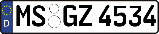 MS-GZ4534