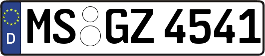 MS-GZ4541