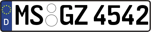 MS-GZ4542