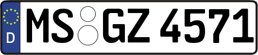 MS-GZ4571